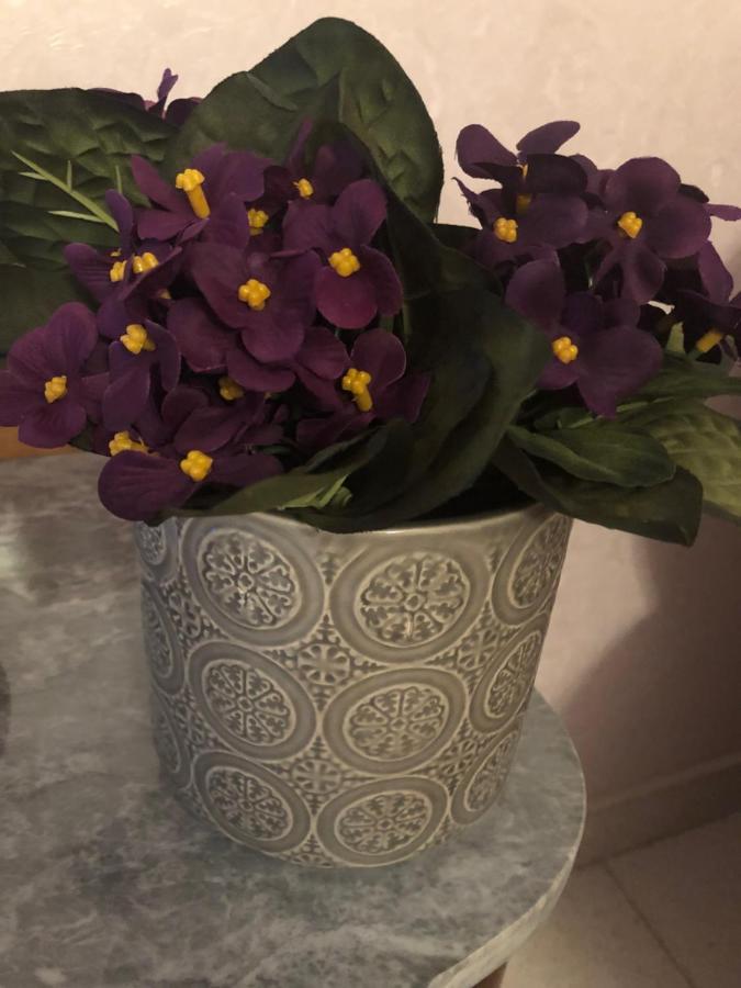 אבולה B&B Meliora Rooms מראה חיצוני תמונה